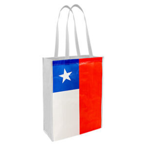 tienda online de Bolsa TNT Bandera Chilena